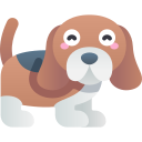 Paws & Claws pet grooming and dog care